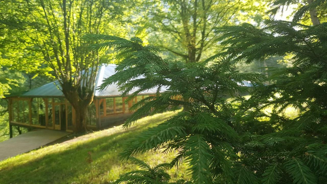 Tara Inn Resort Bastasi Exteriör bild